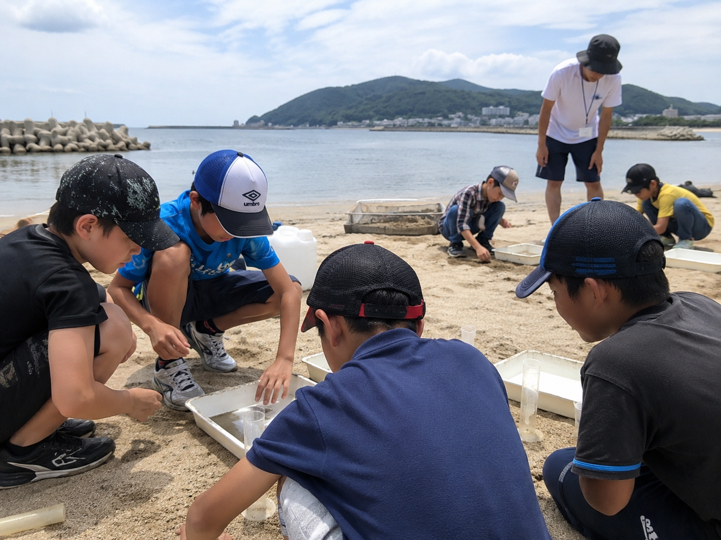 砂浜で地面の性質を調べる児童たち