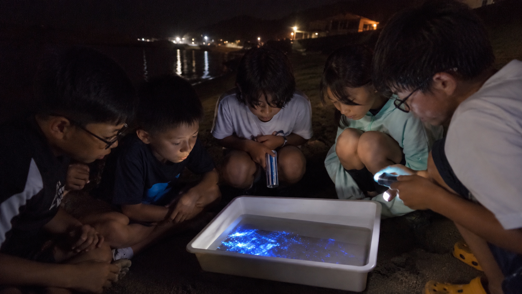 夜の海辺で青く光るウミホタルを観察する様子